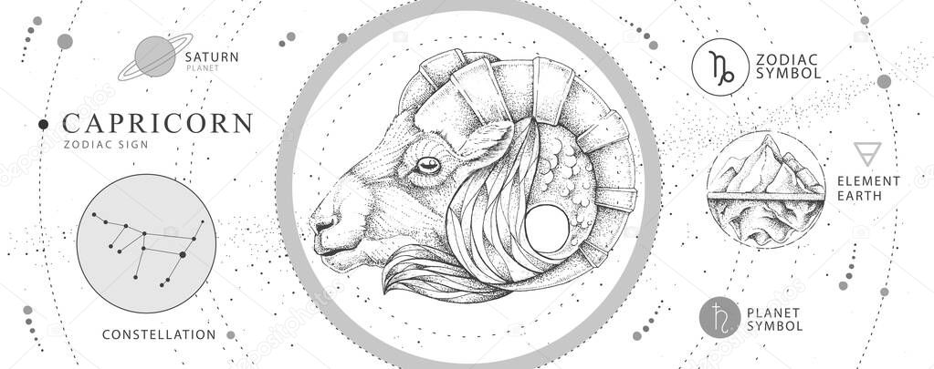 Modern magic witchcraft card with astrology Capricorn zodiac sign. Realistic hand drawing ram or mouflon head. Zodiac characteristic