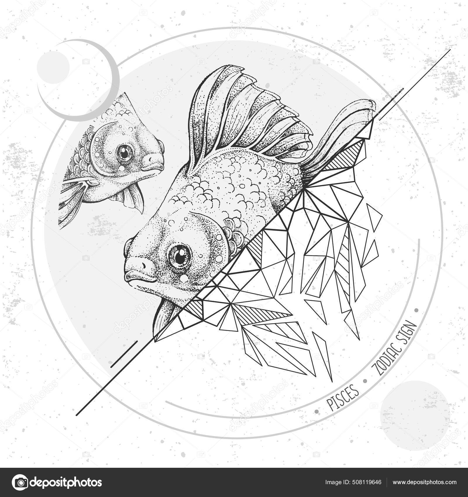 Realistic Hand Drawing Polygonal Koi Fish Illustration Magic Card Pisces  Stock Vector by ©annbozshko 508119646