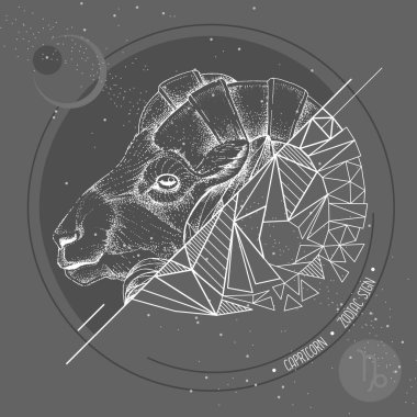 Gerçekçi el çizimi ve mouflon baş illüstrasyonunun çokgen koçu. Oğlak burcunun olduğu sihirli kart.