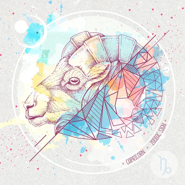 现实的手绘和水彩画背景下的鹿头多边形公羊 有摩羯座黄道带标志的魔法卡 — 图库矢量图片