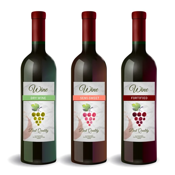 Set de Botella de vino con etiqueta. Vino y uvas — Vector de stock