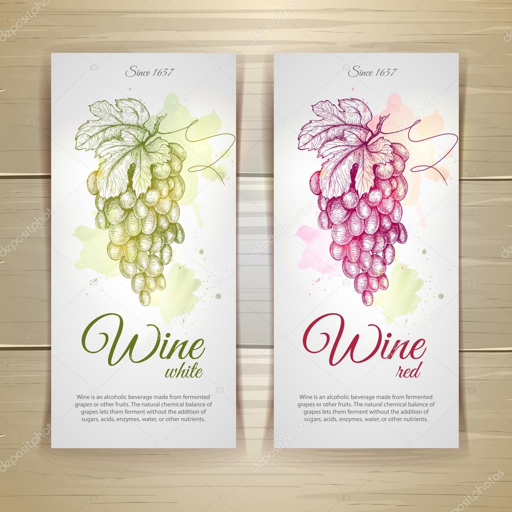 Set of wine labels. Grapes sketch