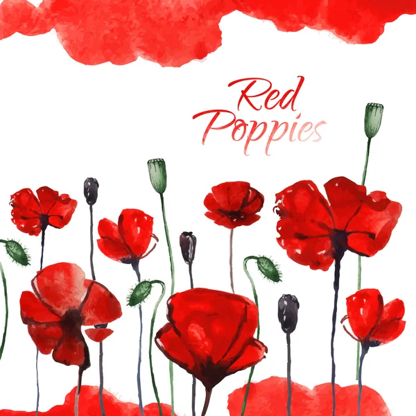 Watercolor red poppies — Stock Vector