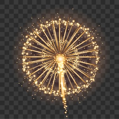 Vektör tatil havai fişek