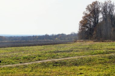İyi havada sonbahar manzarası