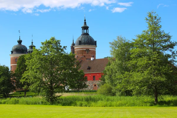 Gripsholm Slott (κάστρο) — Φωτογραφία Αρχείου