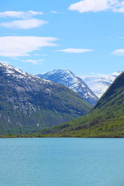 Paysage de montagne avec rivière glaciaire i — Photo