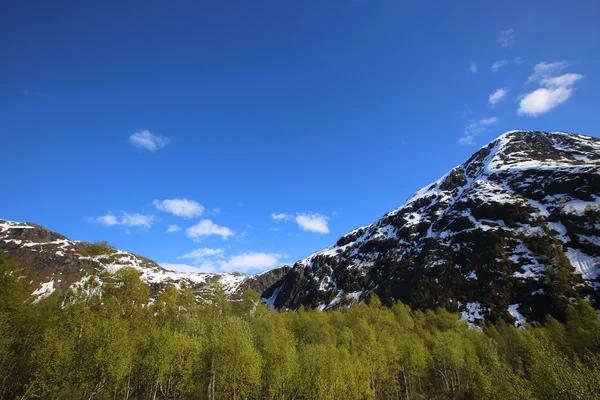 Tavaszi táj Norvégia — Stock Fotó