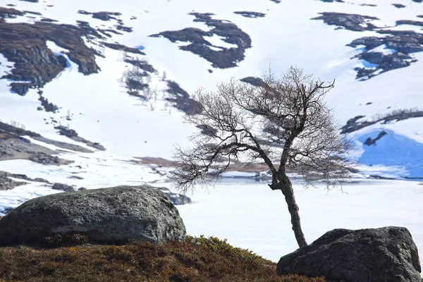 Valle de primavera paisaje — Foto de Stock