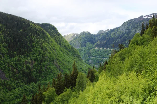 Montañas y bosques Imágenes de stock libres de derechos