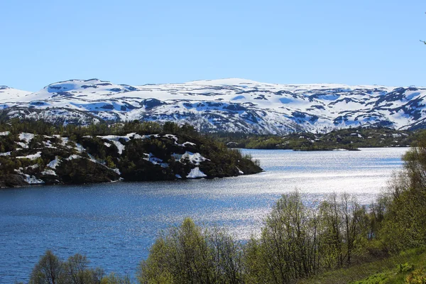 Verano Noruega paisaje — Foto de Stock
