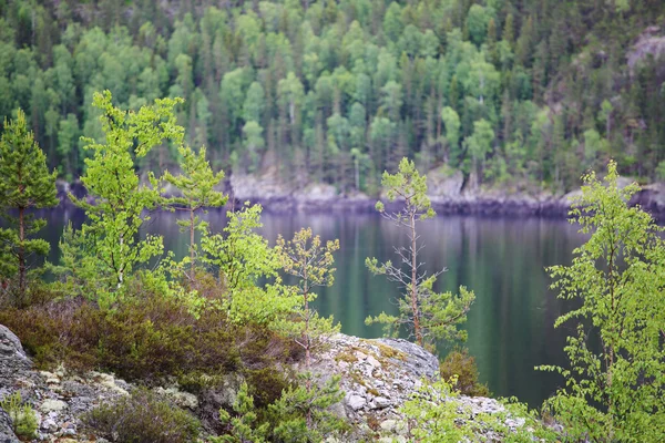 Jezioro Tinnsja, Norwegia — Zdjęcie stockowe