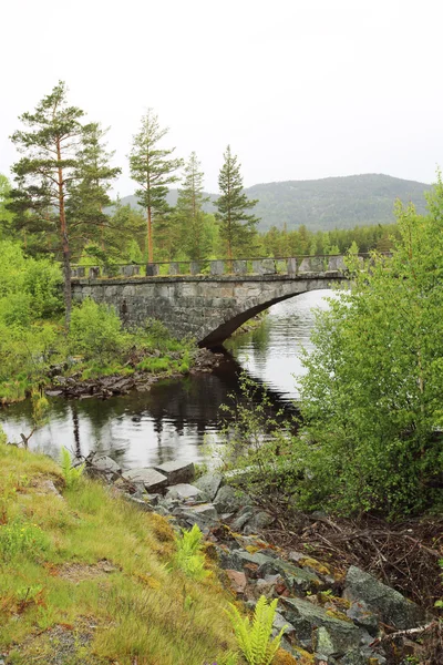 Lago e ponte di Tinnsja, Norvegia — Foto Stock