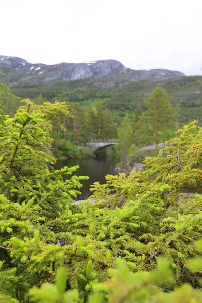 Jezioro Tinnsja, Norwegia — Zdjęcie stockowe