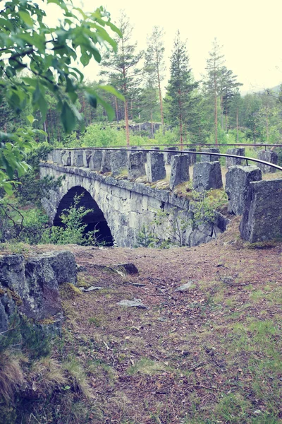 Старий міст у лісі — стокове фото