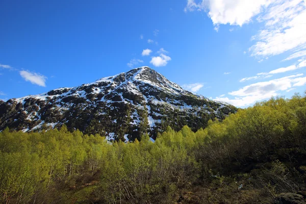 Lente landschap van Noorwegen — Stockfoto