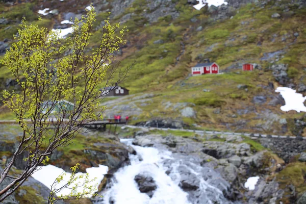 Piękna góra lodowcowe rzeki w wysokich górach Norwegii — Zdjęcie stockowe