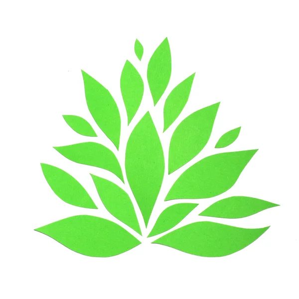 Planta de papel verde — Fotografia de Stock