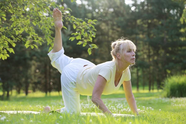 Женщина-йога в парке — стоковое фото