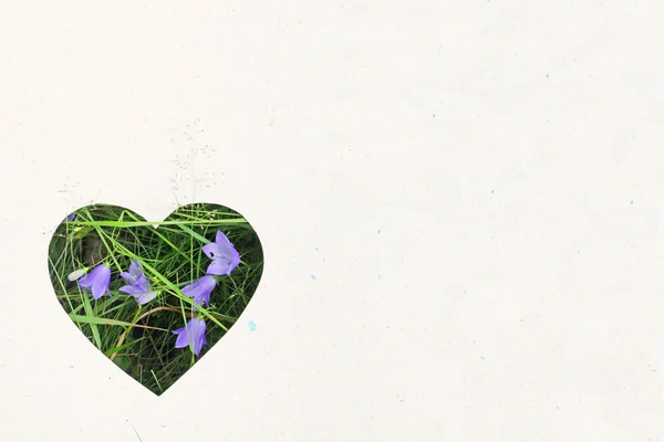 Love nature concept — Stock Photo, Image