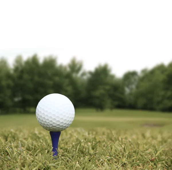 Pelota de golf en curso —  Fotos de Stock