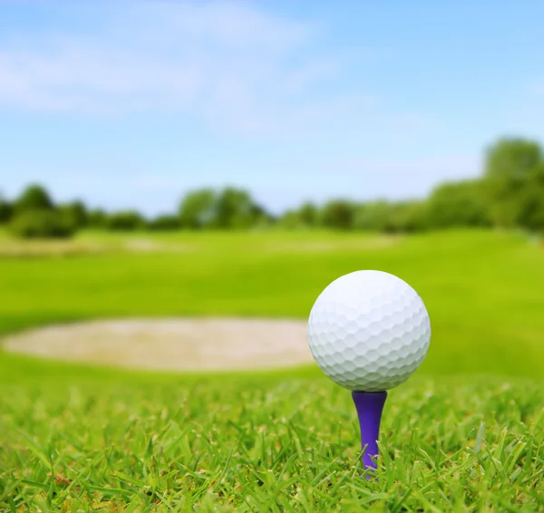 Bola de golfe no campo — Fotografia de Stock