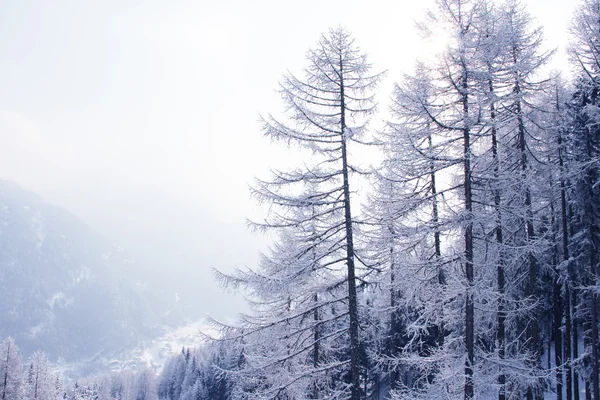 Toppar i bergskedjan i vinter, Alperna, Österrike — Stockfoto
