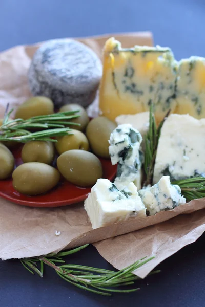 Roquefort cheese composition — Stock Photo, Image