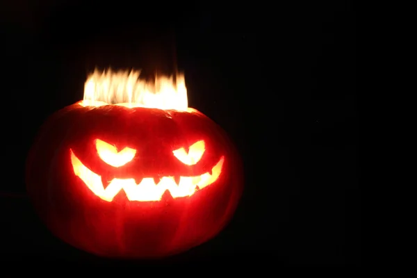 Halloween pumpa på svart — Stockfoto