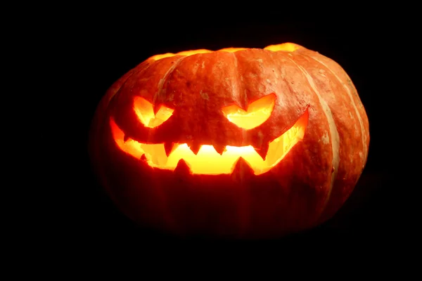 Halloween pumpa på svart — Stockfoto