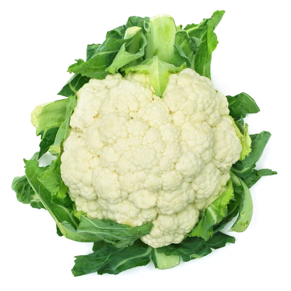 Cauliflower isolated on white background — Stock Photo, Image