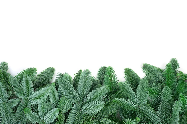 Traditioneller Grüner Weihnachtsbaum Edeltanne Rahmen Isoliert Auf Weißem Hintergrund Kopierraum — Stockfoto