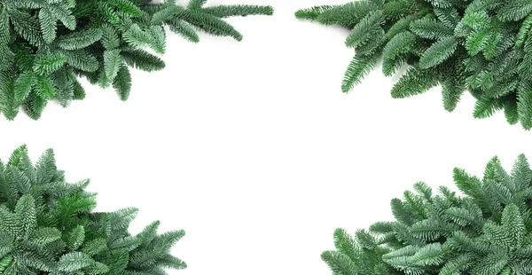 Traditional Green Christmas Tree Noble Fir Border Frame Isolated White — Stock Photo, Image