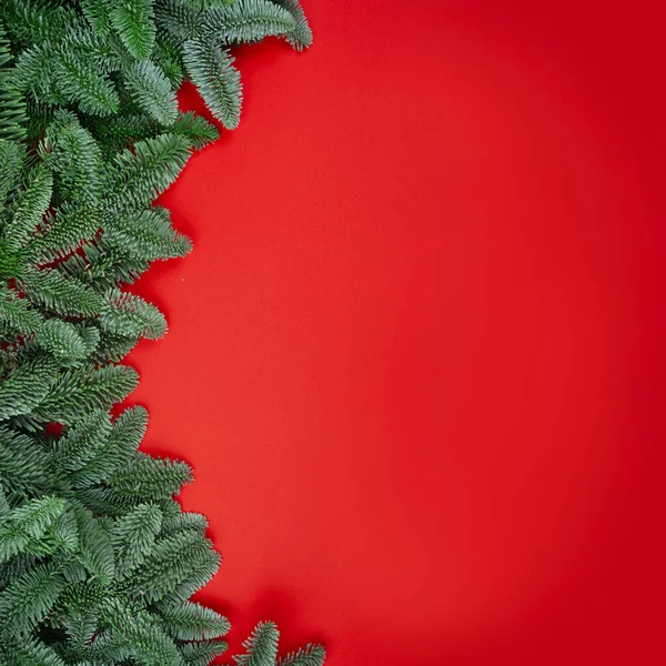 Weihnachten Tanne Zweige Dekor Rand Rahmen Auf Rotem Hintergrund Mit — Stockfoto