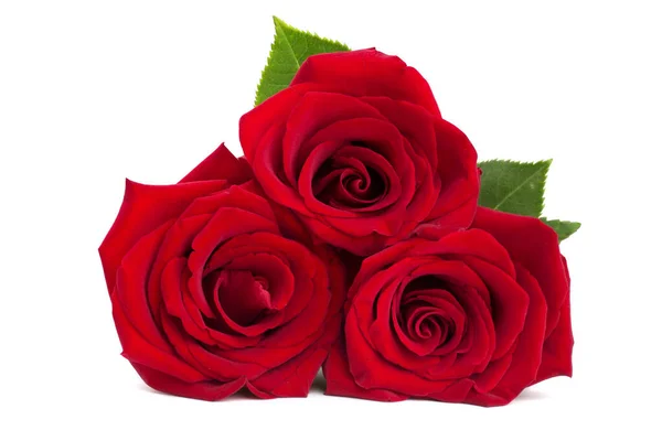 Trois Roses Rouges Isolées Sur Fond Blanc Cadeau Romantique Pour — Photo