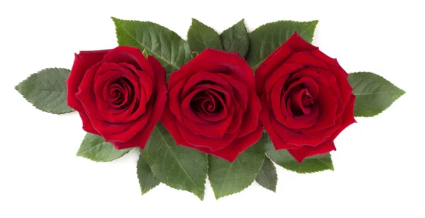 Red Rose Flowers Leaves Arrangement Isolated White Background Top View — Stock Photo, Image