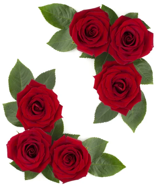 Fleurs Feuilles Roses Rouges Arrangement Coin Bordure Cadre Élément Conception — Photo