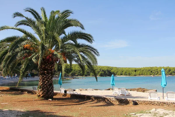 Resort Spiaggia Sull Isola Brac Con Acqua Turchese Supetar Brac — Foto Stock