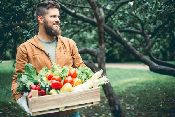 庭で野菜の木の箱を保持幸せな誇りに思って笑顔ミッド大人ハンサムなひげを生やした農家 秋の夏の有機収穫の概念 — ストック写真