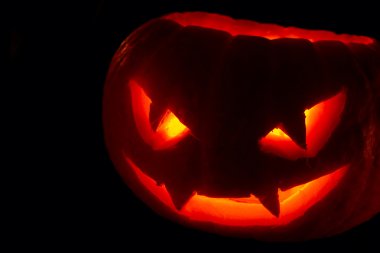 Cadılar Bayramı Balkabağı