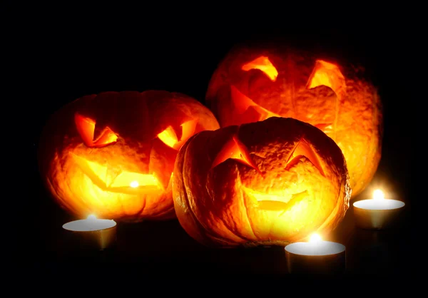 Halloween pompoenen — Stockfoto