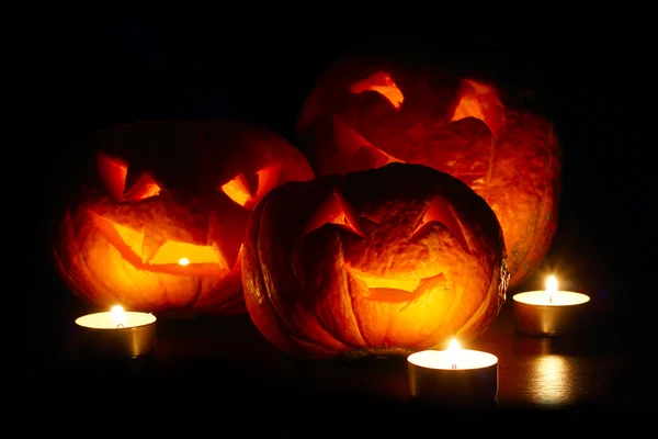 Halloween pumpor — Stockfoto