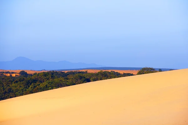 Oasis in desert — Stock Photo, Image