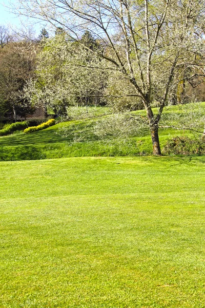 Golfbana — Stockfoto