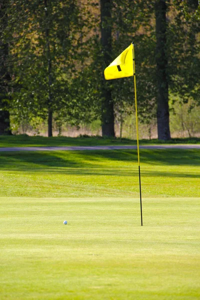 Drapeau sur le terrain de golf — Photo