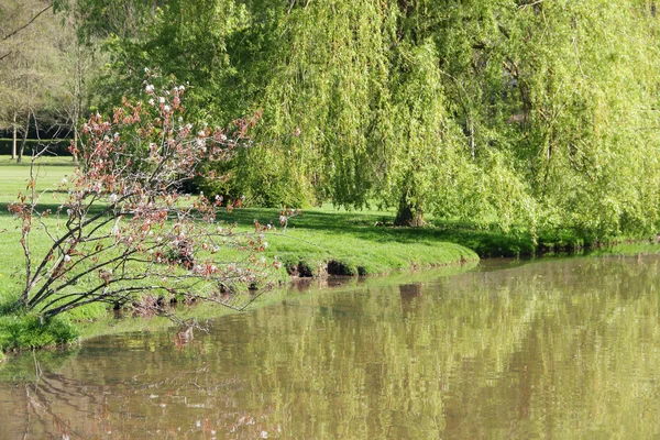 Beautiful spring landscape — Stock Photo, Image