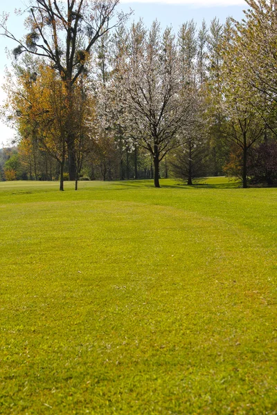 Beautiful spring landscape — Stock Photo, Image