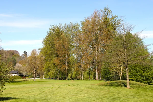 Campo de golfe — Fotografia de Stock