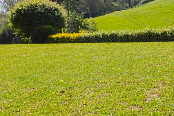 Bela paisagem primavera — Fotografia de Stock