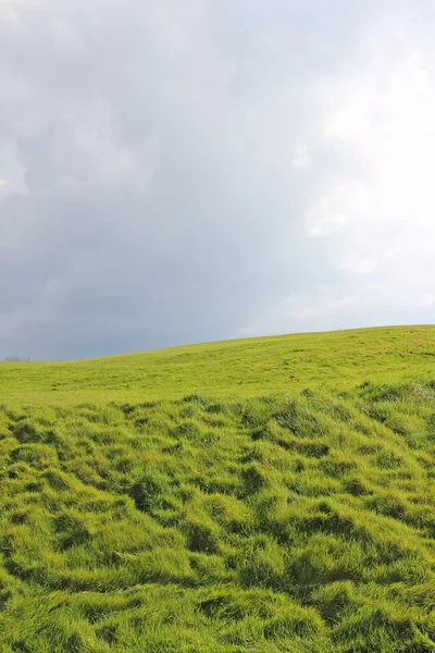Πράσινο πεδίο κάτω από νεφελώδη ουρανό — Φωτογραφία Αρχείου
